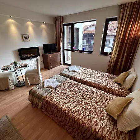 Penthouse Mountain View * Bansko