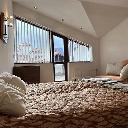 Penthouse Mountain View Apartment *