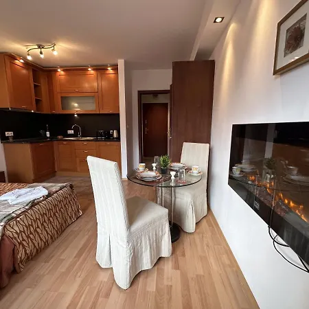 Penthouse Mountain View * Bansko