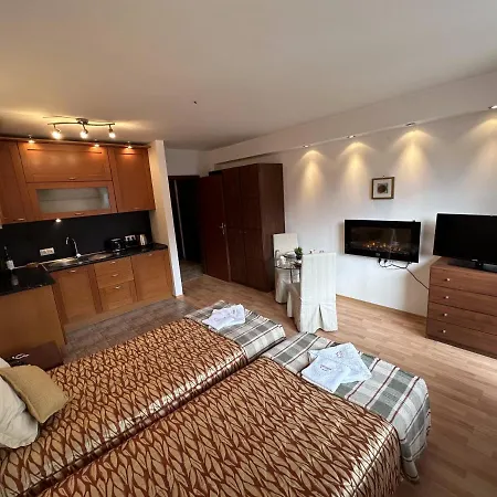 Penthouse Mountain View Apartament
