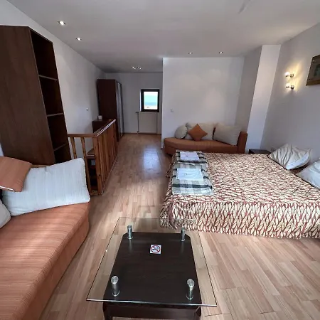 Penthouse Mountain View Apartament